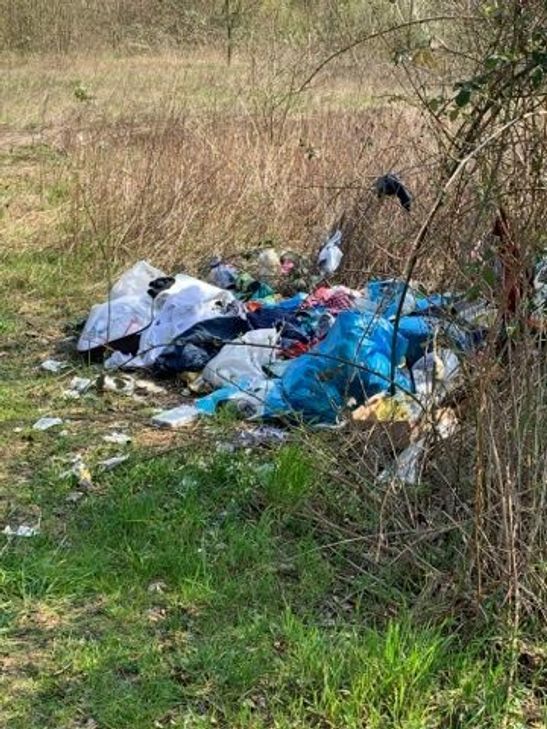 Foto: Schwarze-Scherren