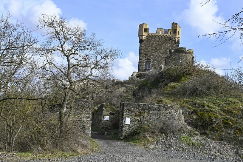 Zum Tag des offenen Denkmals im September soll die Burgruine Wernerseck der Bevölkerung präsentiert werden.