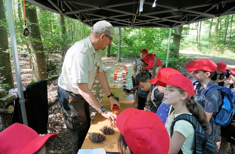 Früchte-Memory bei den Waldspielen in Luxemburg.