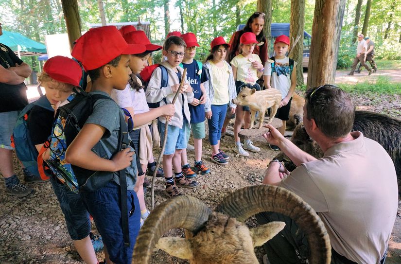 Große Tiere faszinieren bei den Waldspielen in Luxemburg.