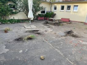 Ausgerupft, abgerissen, zerdeppert: Viele der von den Kindern sorgsam gepflegten Blumenkübel haben die Täter zerstört, die Pflanzen wurden achtlos auf den Boden geschmissen.