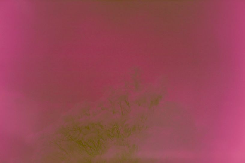 Pigmentdruck auf Papier, 2018