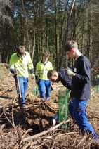 Bildunterschrift Bild 1: Gemeinsam für den Wald der Zukunft pflanzen 

Mit Freude den Wald der Zukunft gestalten.