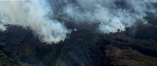 In diesen Stunden geht es vor allem darum, die Glutnester einzudämmen. Es gibt keine offenen Flammen mehr. Das gesamte Gebiet ist nun mit einer Schneise (ca. 3 Meter) umgeben, so dass sich Flammen nicht weiter ausbreiten können.