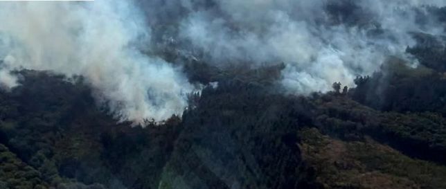 In diesen Stunden geht es vor allem darum, die Glutnester einzudämmen. Es gibt keine offenen Flammen mehr. Das gesamte Gebiet ist nun mit einer Schneise (ca. 3 Meter) umgeben, so dass sich Flammen nicht weiter ausbreiten können.