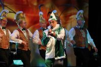 Thomas Fringa (Solo) - Impressionen von der ersten Sitzung der KG Heuschreck 1848 in der Trierer Europahalle.