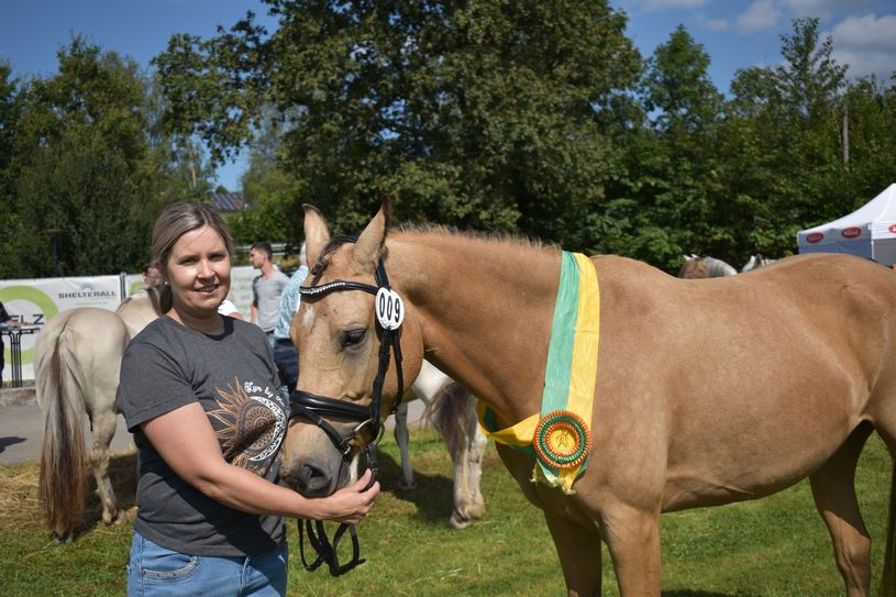 Bei den Kleinpferden überzeugte "Sweety", ein deutsches Reitpony von Manfred Wagner aus Irsch.