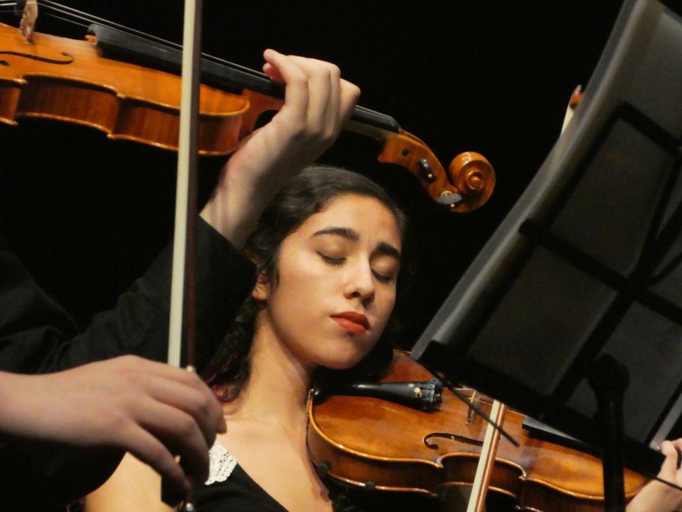 Die "Saarburger Serenaden" bringen hervorragende Künstler und Lehrer aus allen Ecken der Welt in die Region. Foto: Archiv FF