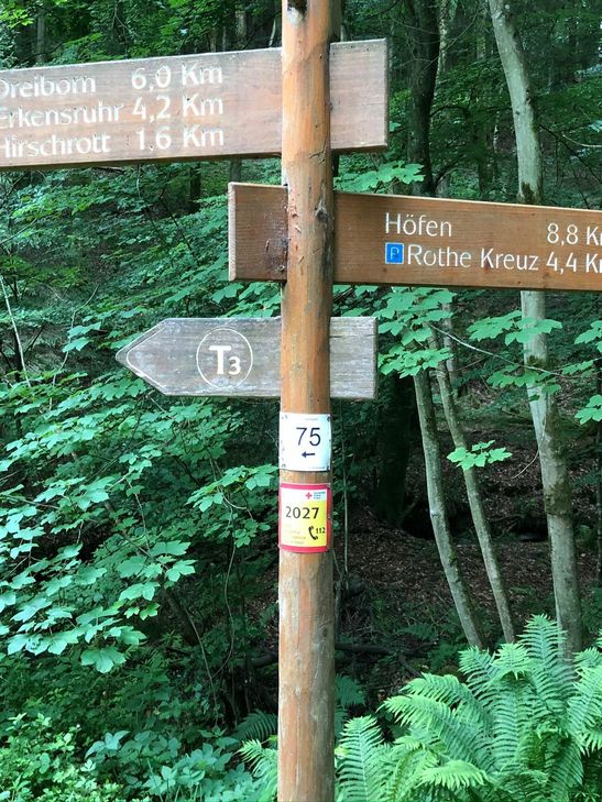 Foto: T. Förster
