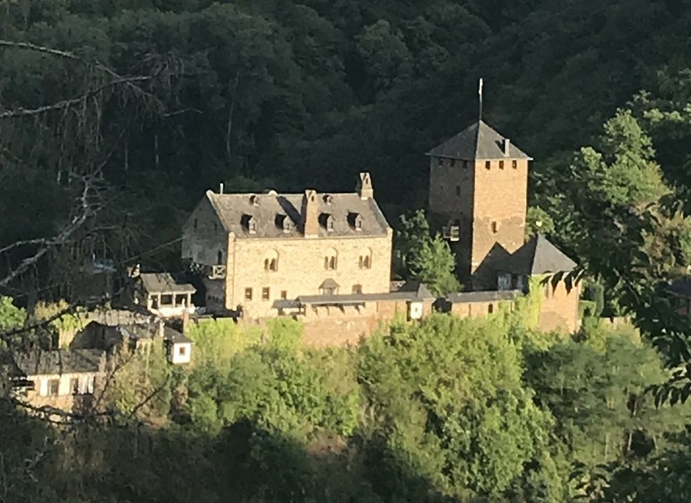 Beschaulich liegt die Wildburg im Seitental der Mosel.
