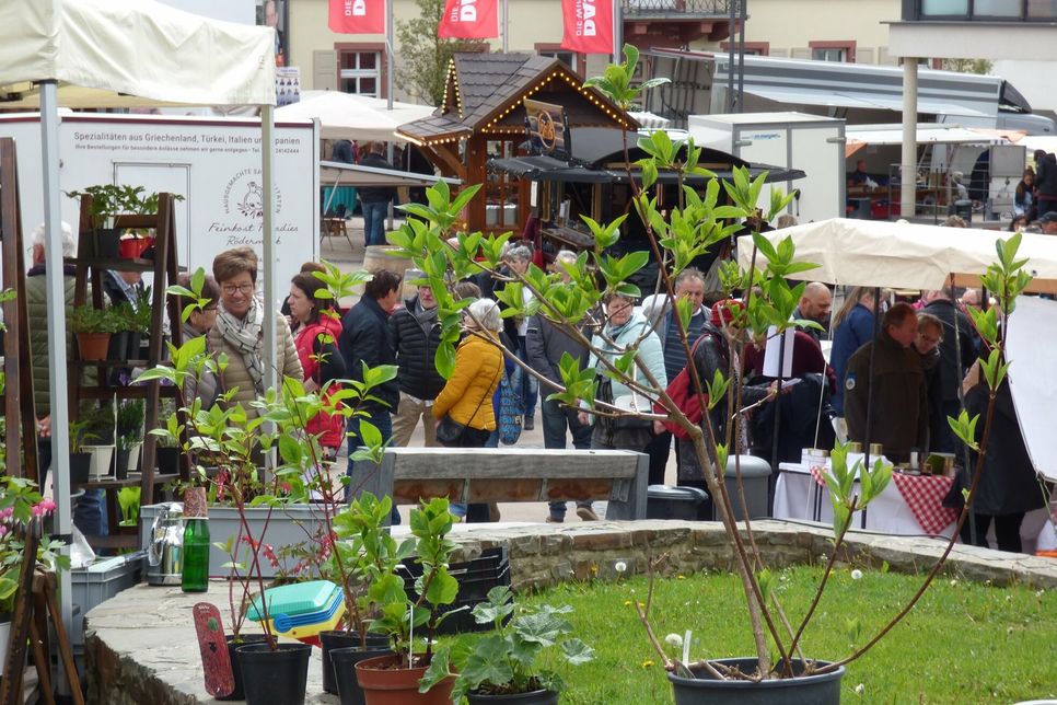 Der Blumen- und Bauernmarkt lockt nach Simmern.