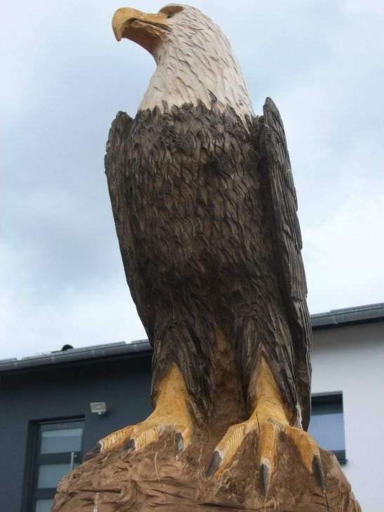 Ein Adler par excellence...