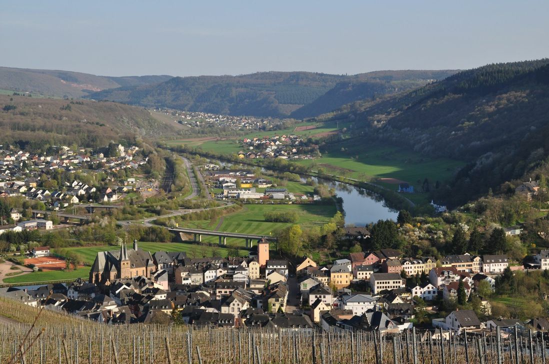 Die LEADER-Aktionsgruppe fördert Projekte aus der Großregion. Auch eines aus Saarburg ist dabei. Foto: Archiv