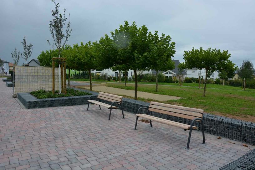 Auch die ehemals am Markt vor dem Rathaus stehenden Platanen haben nun hier ihr neues Zuhause gefunden. Foto: VG Konz