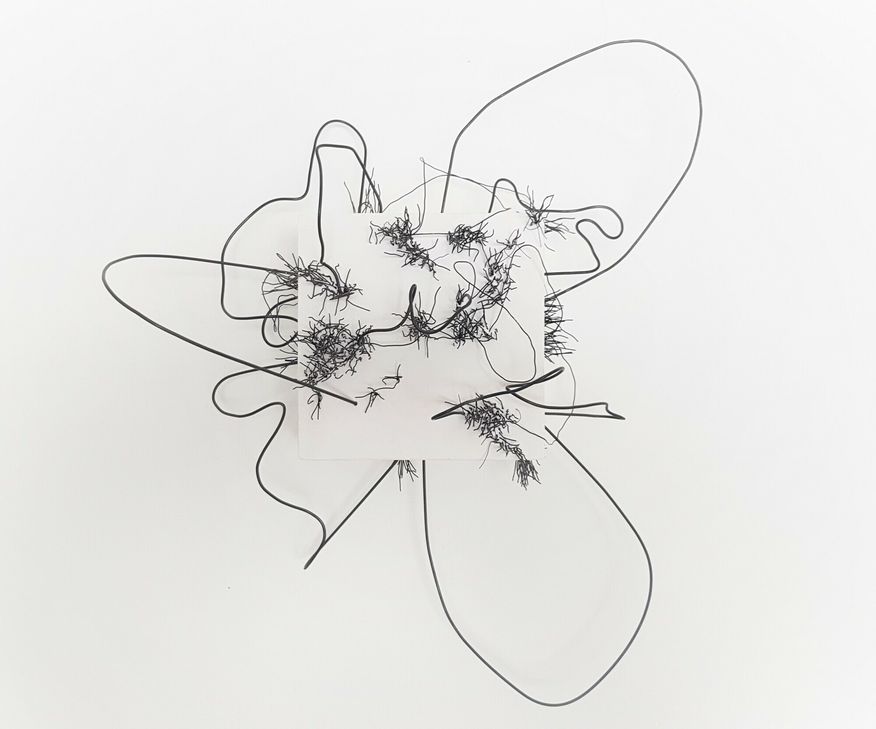 Toni Brünemann zeigt in der Trierer Galerie Netzwerk ihre Zeichnungen. Fotos: Galerie Netzwerk