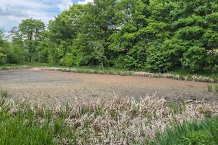 Derzeit kein schöner Anblick: Der Weiher in der Parkanlage Im Dumpert in Kell am See.