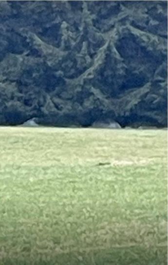 Sagen fast wie Zelte aus, doch es waren nur Siloballen.