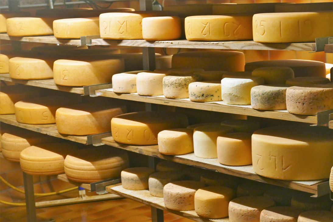 Ein individueller Geschmack, gute Milch, keine Zusatzstoffe und Nachhaltigkeit machen für Wolfgang Fusenig einen guten Käse aus. Foto: privat