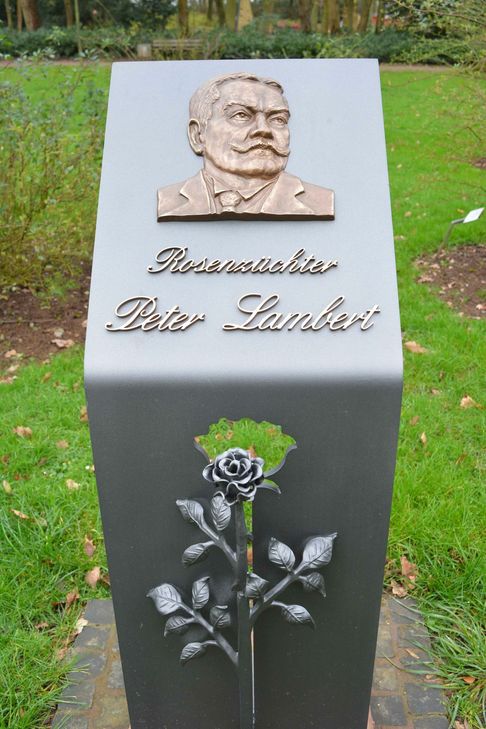 In Nells Ländchen erinnern gleich zwei Bildnisse an Peter Lambert: eines im Rosenstammbaumgarten. Foto: Neumann