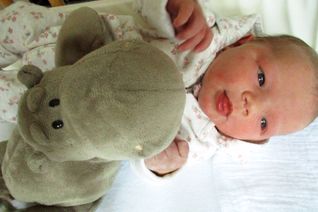 Silvesterbaby Leonie Thiesen (Foto 1) aus Enkirch ist das 505. Baby, das im Jahr 2020 in der Hunsrück Klinik zur Welt kam. Das erste Neujahrsbaby der Hunsrück Klinik heißt Lena Gewehr (Foto 2). Der kleine Joschua Sixel erblickte am Neujahrsmorgen das Licht der Welt (Foto 3 mit Mutter Janine).  [Fotos: Hunsrück Klinik]