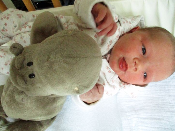 Silvesterbaby Leonie Thiesen (Foto 1) aus Enkirch ist das 505. Baby, das im Jahr 2020 in der Hunsrück Klinik zur Welt kam. Das erste Neujahrsbaby der Hunsrück Klinik heißt Lena Gewehr (Foto 2). Der kleine Joschua Sixel erblickte am Neujahrsmorgen das Licht der Welt (Foto 3 mit Mutter Janine).  [Fotos: Hunsrück Klinik]