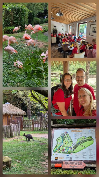 Die Bambini-Feuerwehr Lutzerath erlebt einen spannenden Tag im Zoo Landau.