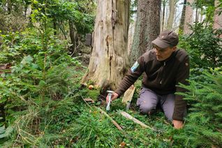 Sönke Twietmeyer vom Fachgebiet Forschung und Dokumentation in der Nationalparkverwaltung Eifel war in der Nationalparkfläche unterwegs, um Mess- und Aufnahmestandorte für das KI-Projekt einheitlich einzurichten.