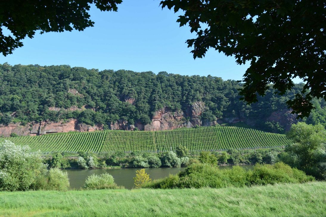 Zwischen Pallien und Biewer liegt der Trierer Augenscheiner. Foto: Neumann
