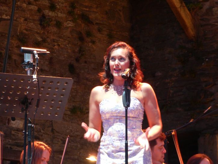 Freunde der Klassik genossen die Operngala.