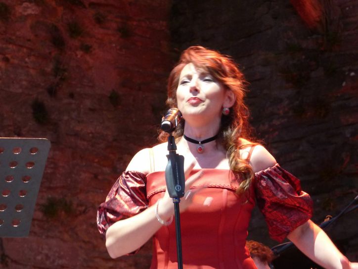 Freunde der Klassik genossen die Operngala.