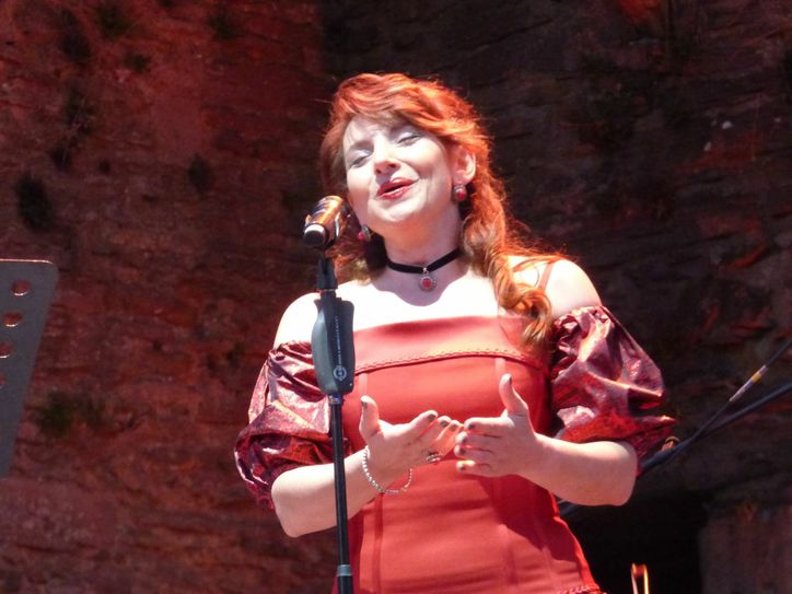 Freunde der Klassik genossen die Operngala.