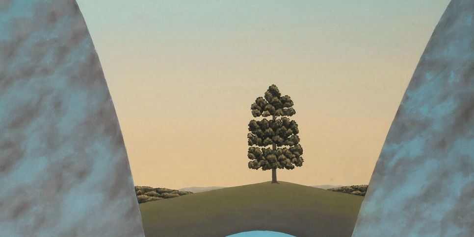 Bild: Franz Politzer