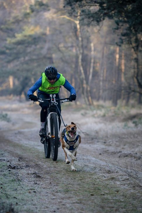 Mit dem Rad ist Jule Prins unterwegs. Sie betreibt mit »Schoko« "Bikejöring". Fotos: privat