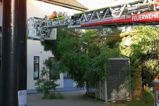 Eine Baumkrone drohte auf das Haus daneben zu stürzen.