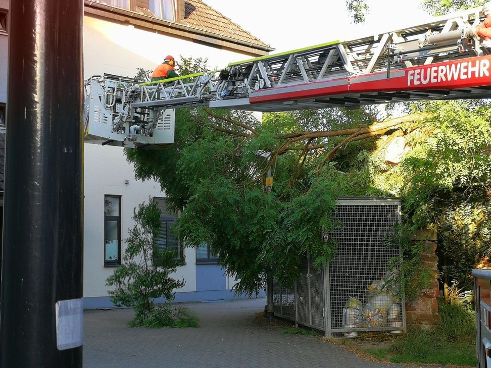 Eine Baumkrone drohte auf das Haus daneben zu stürzen.