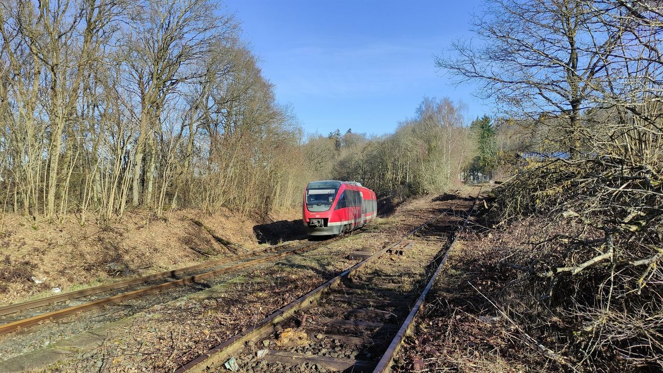 Das sogenannte Industriestammgleis in Kaisersesch (rechts) wurde von Ehrenamtlichen des Eifelquerbahn-Vereins freigeschnitten.