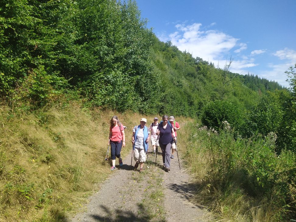 Der mit 220 Höhenmetern zu bewältigende Mühlenweg bei Grenderich war körperlich eine Herausforderung.
