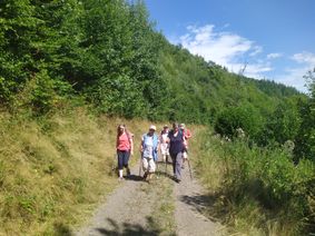 Der mit 220 Höhenmetern zu bewältigende Mühlenweg bei Grenderich war körperlich eine Herausforderung.