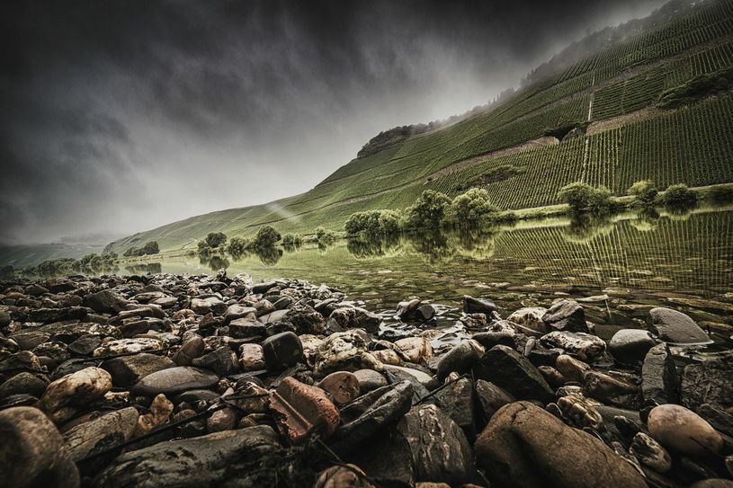 "Mythos Mosel": Steillagen an der Mosel bei Brauneberg. Foto: Moselwein e.V./Timo Volz