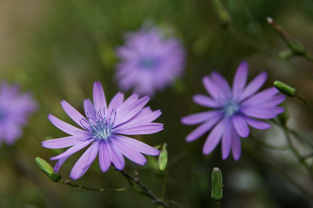 Fotos: Daniel Franzen