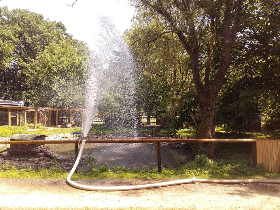 Die Feuerwehr füllte den Schwanenteich wieder auf. Foto: Privat