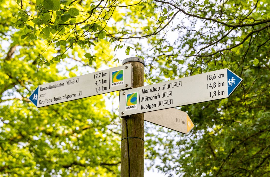 Der Eifelsteig ist ein hoher Tourismus- und Wirtschaftsfaktor. Nun wurde er als Premium-Wanderweg für weitere drei Jahre zertifiziert.