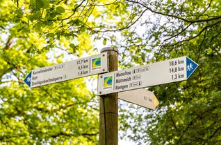 Der Eifelsteig ist ein hoher Tourismus- und Wirtschaftsfaktor. Nun wurde er als Premium-Wanderweg für weitere drei Jahre zertifiziert.