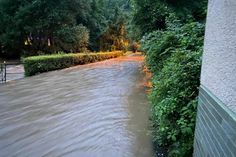 Der Weg ins Elztal ist derzeit überflutet.