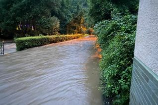 Der Weg ins Elztal ist derzeit überflutet.