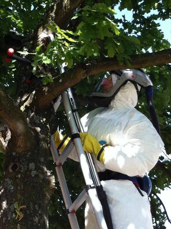 Schädlingsbekämpfer Detlev Lergon bei der Arbeit. Foto: Privat