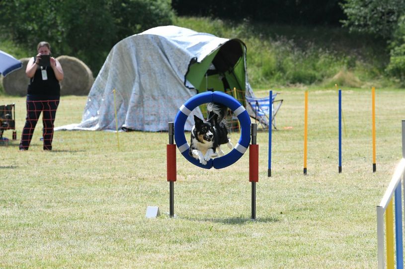 Impressionen der Agility-Landesmeisterschaft in Hollnich.