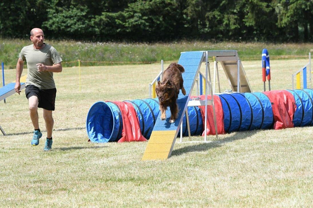 Impressionen der Agility-Landesmeisterschaft in Hollnich.