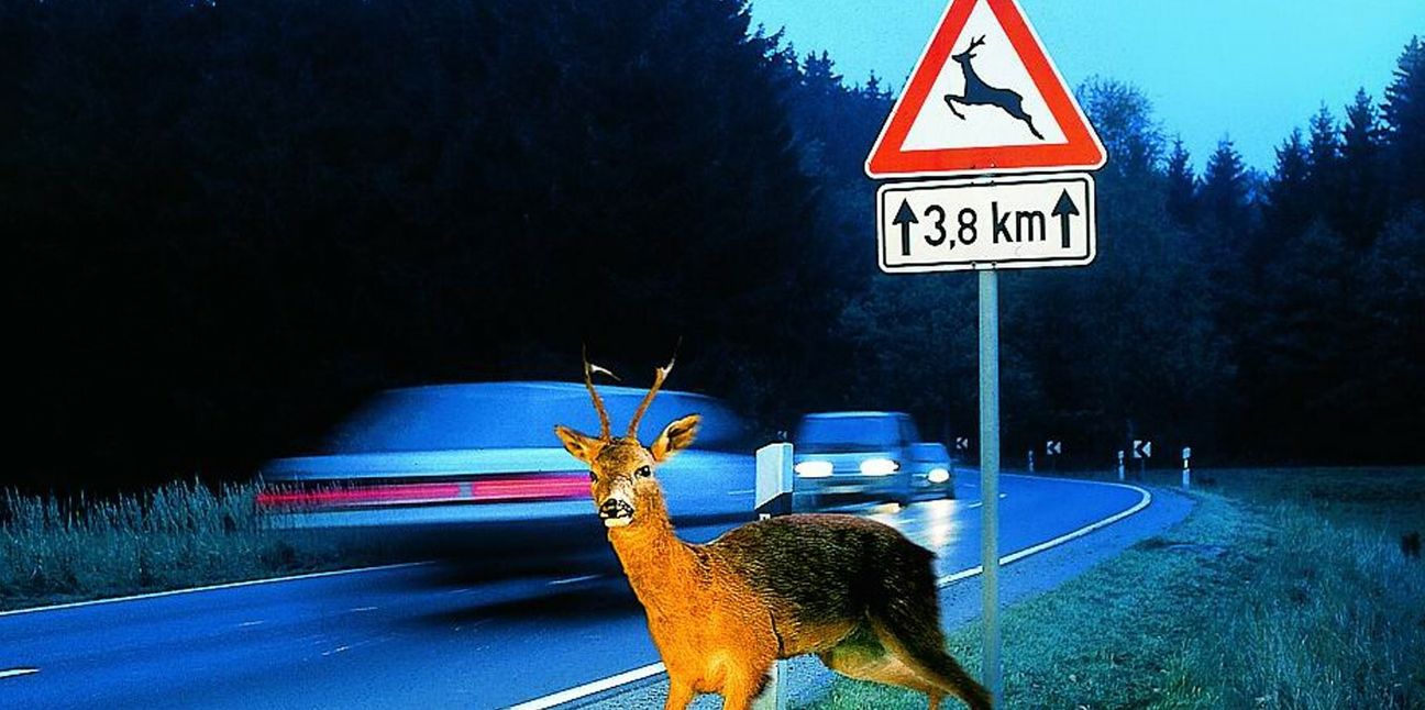 Foto: Symbolbild/Archiv