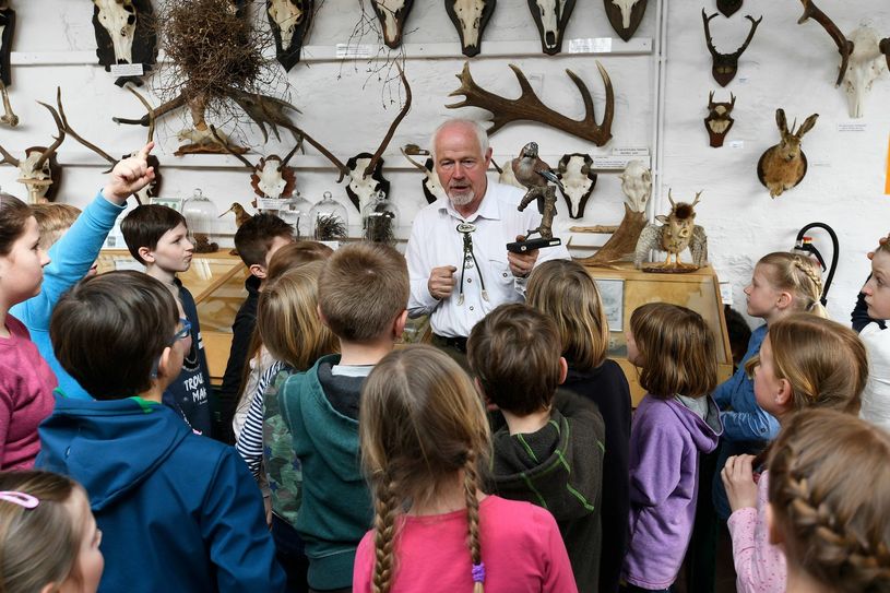 Das Erlebnismuseum Lernort Natur bietet spannende Exkursionen für kleine und große Entdecker.